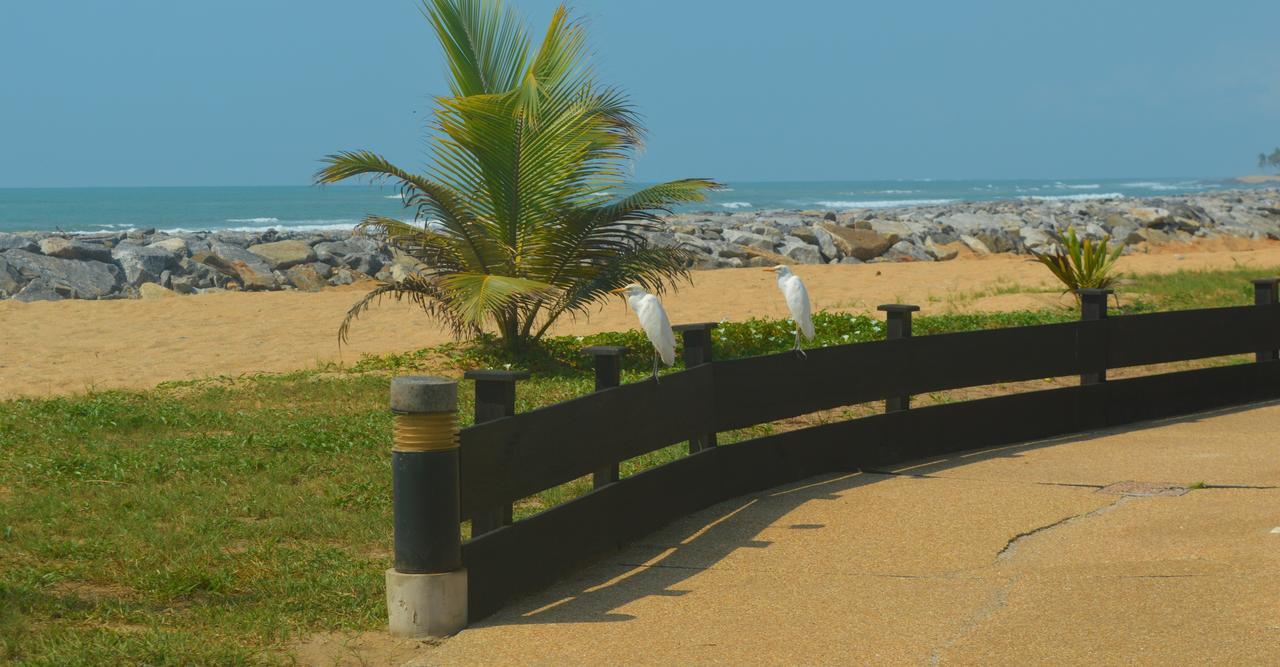 Elmina Bay Resort Bagian luar foto
